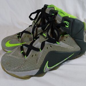Nike Lebron James Dunk Force XII Basketball Shoes Size 11.5